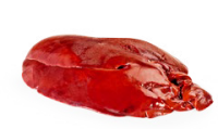 imagem de Fígado